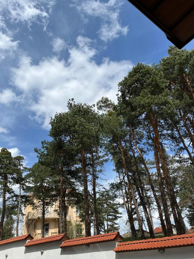 Апартамент Ренета Apartment Reneta Βέλινγκραντ Εξωτερικό φωτογραφία